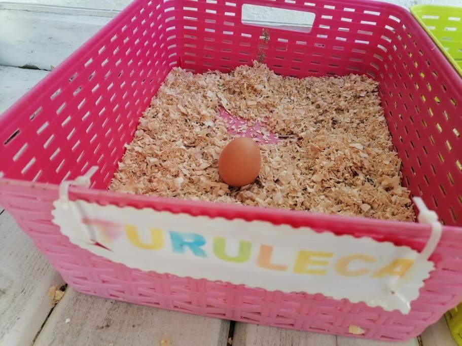 Chiclana El Principito Βίλα Chiclana de la Frontera Εξωτερικό φωτογραφία