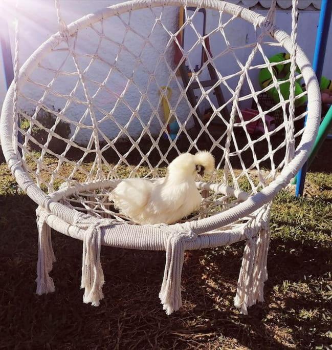 Chiclana El Principito Βίλα Chiclana de la Frontera Εξωτερικό φωτογραφία